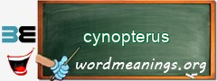 WordMeaning blackboard for cynopterus